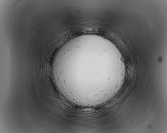 X0000098070659200804040729