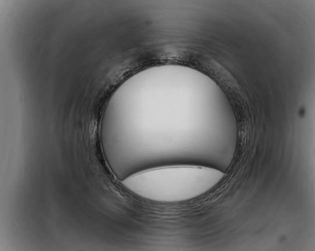 X0000098070660200804040729