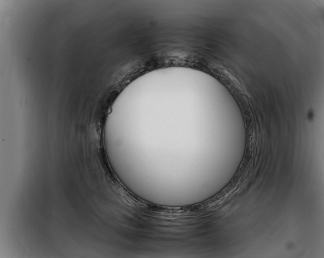 X0000098070661200804040729