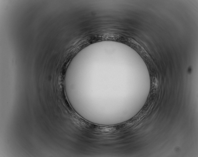 X0000098070663200804040729
