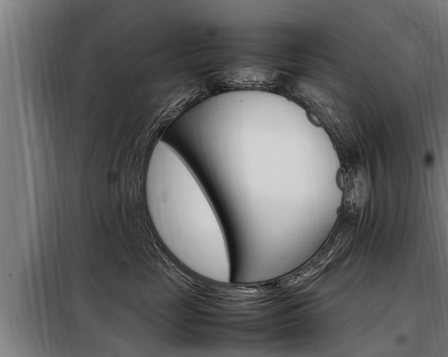 X0000098070669200804040729