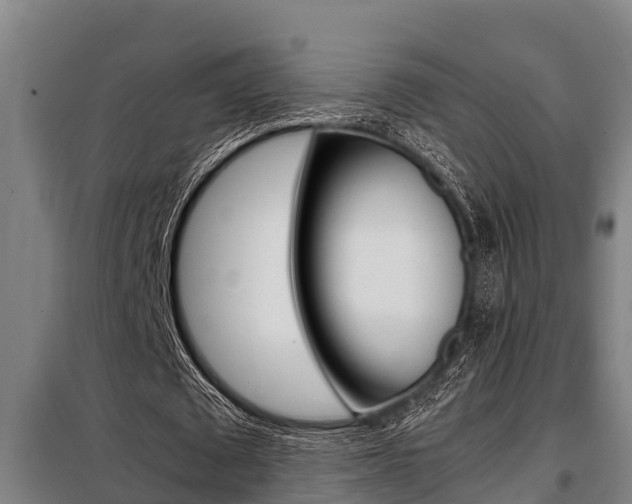 X0000098070673200804040728