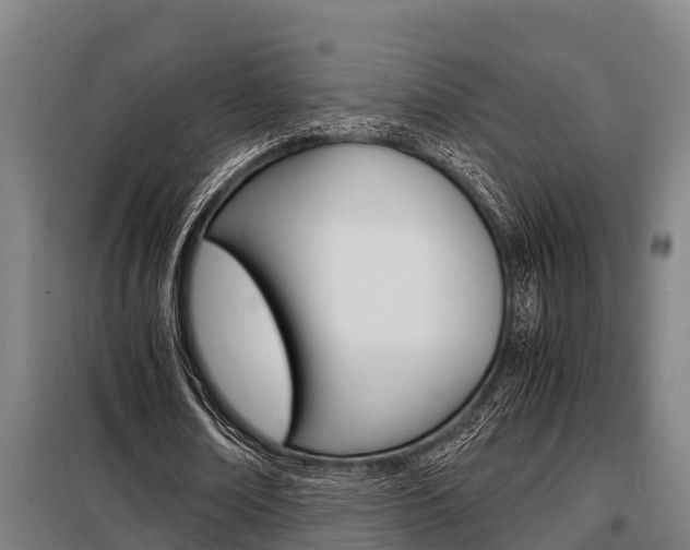 X0000098070674200804040728