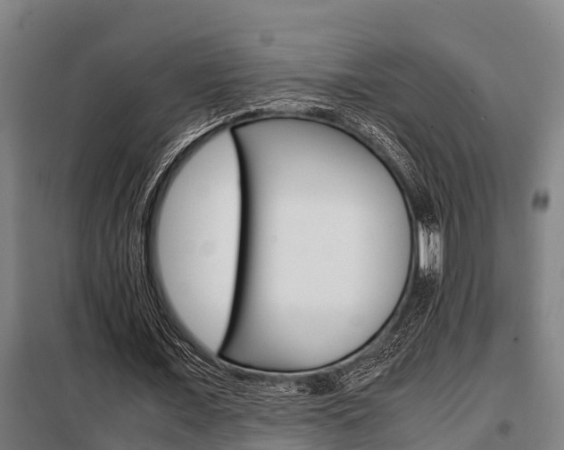X0000098070675200804040728