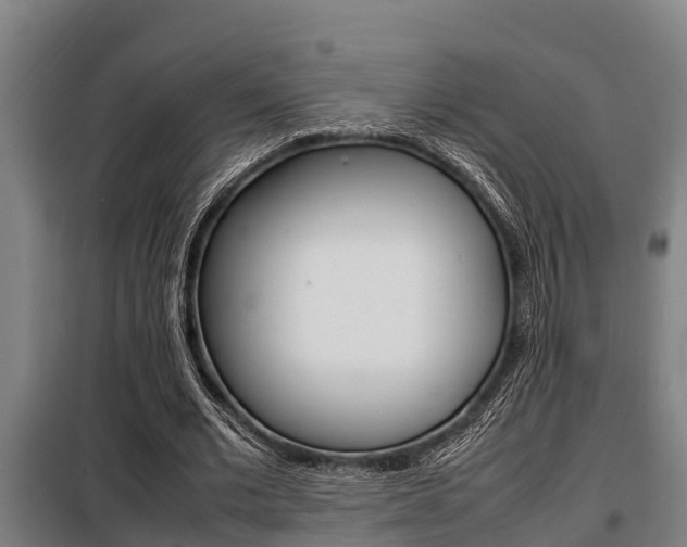 X0000098070677200804040728