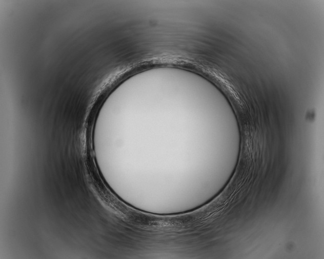X0000098070678200804040728