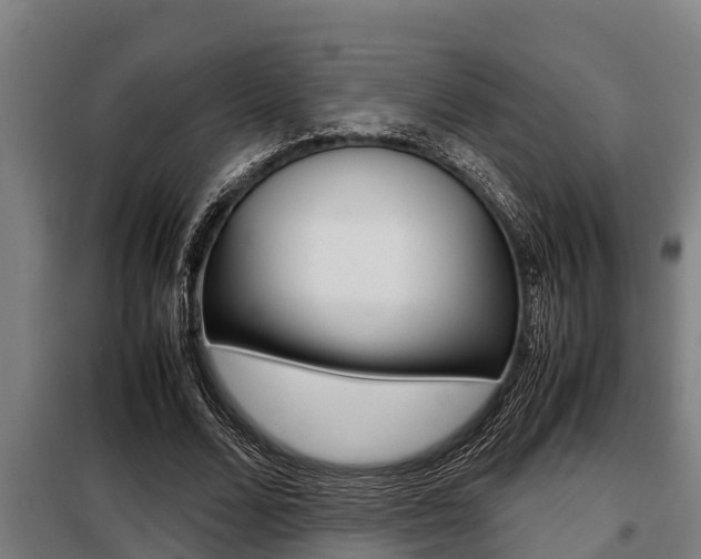 X0000098070680200804040728
