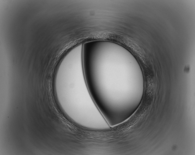 X0000098070681200804040728