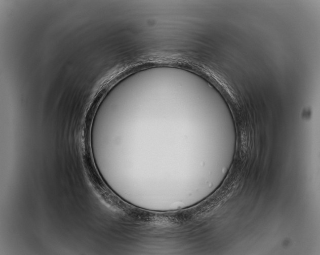X0000098070682200804040728