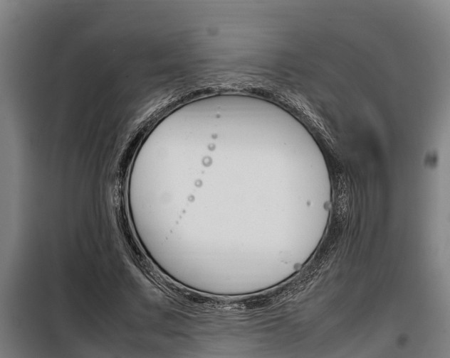 X0000098070683200804040728