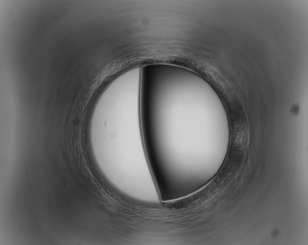X0000098070685200804040728