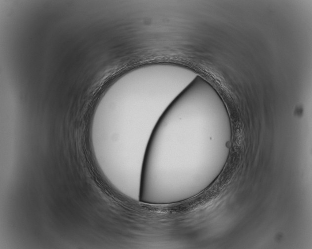X0000098070687200804040728