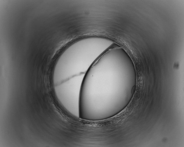 X0000098070688200804040728