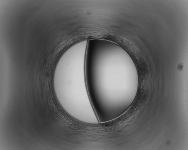 X0000098070689200804040728