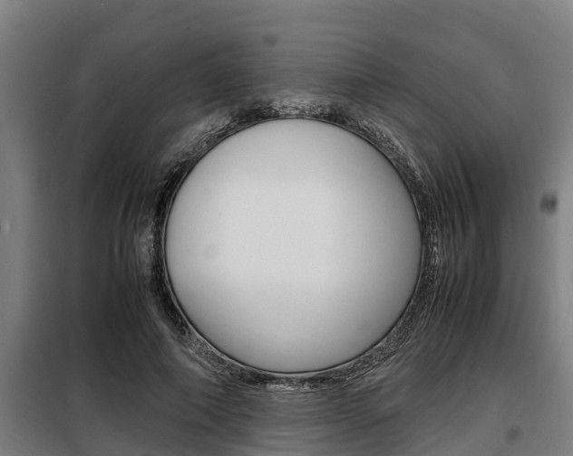 X0000098070690200804040728