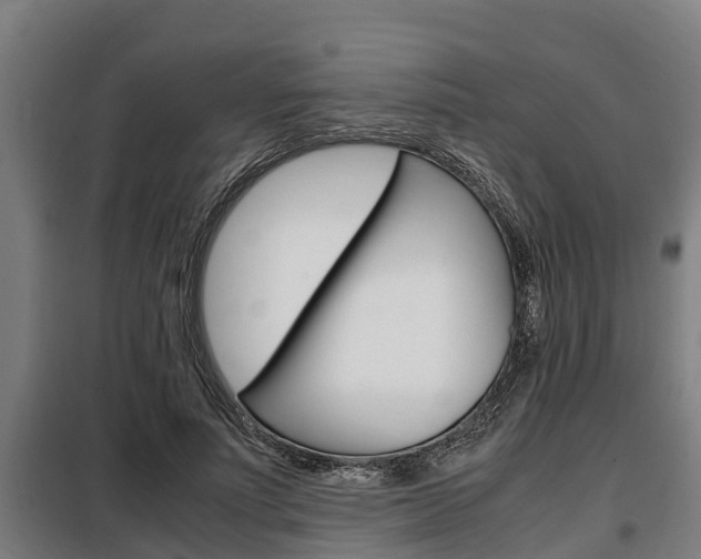 X0000098070691200804040728