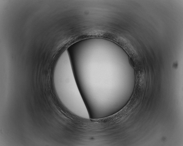 X0000098070692200804040728