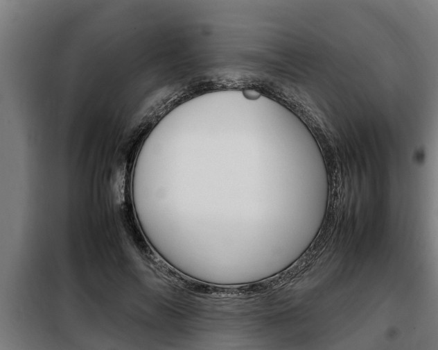 X0000098070694200804040728