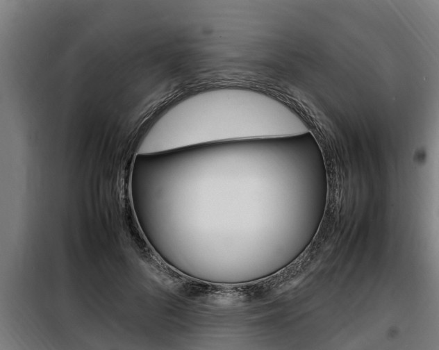 X0000098070696200804040728