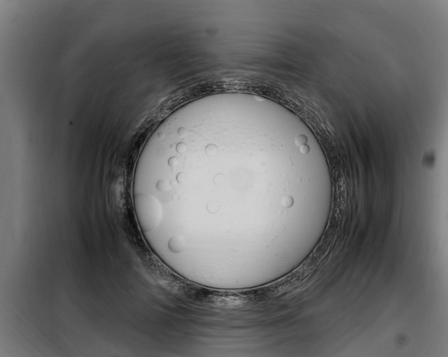 X0000098070698200804040728