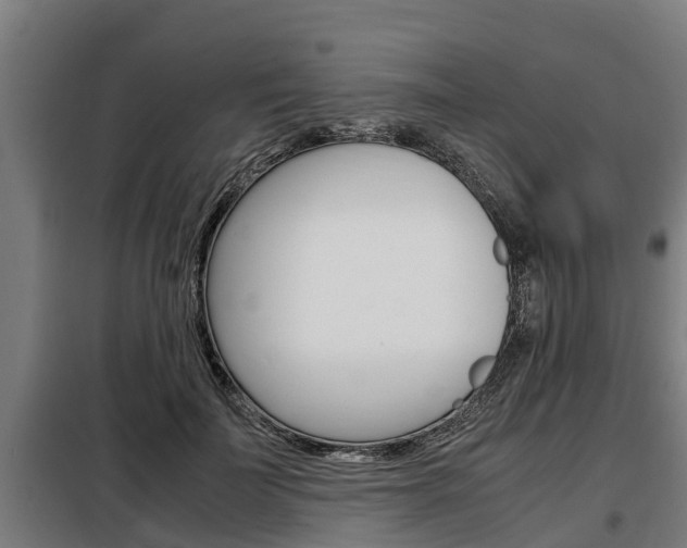 X0000098070699200804040728