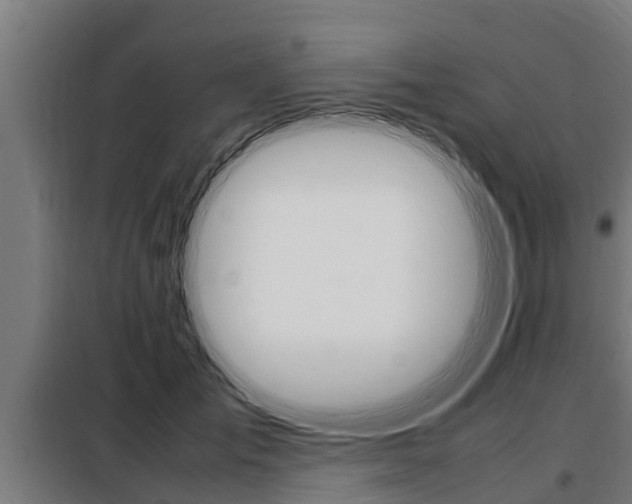 X0000098070701200804040728