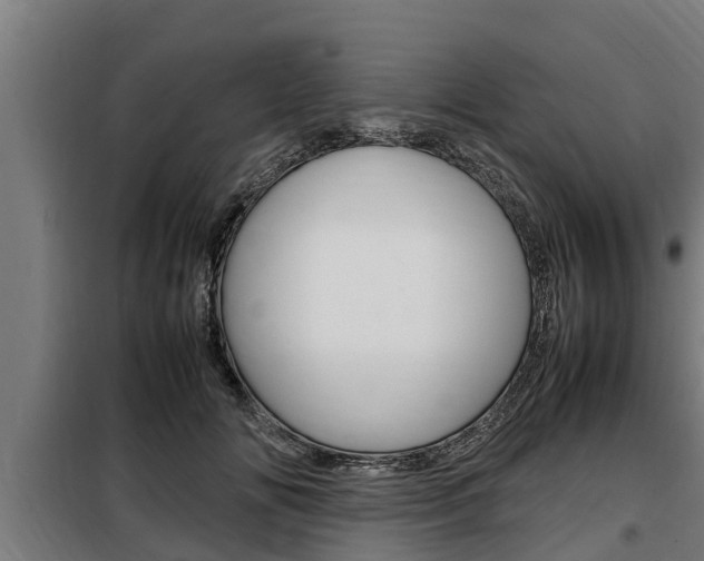 X0000098070702200804040728