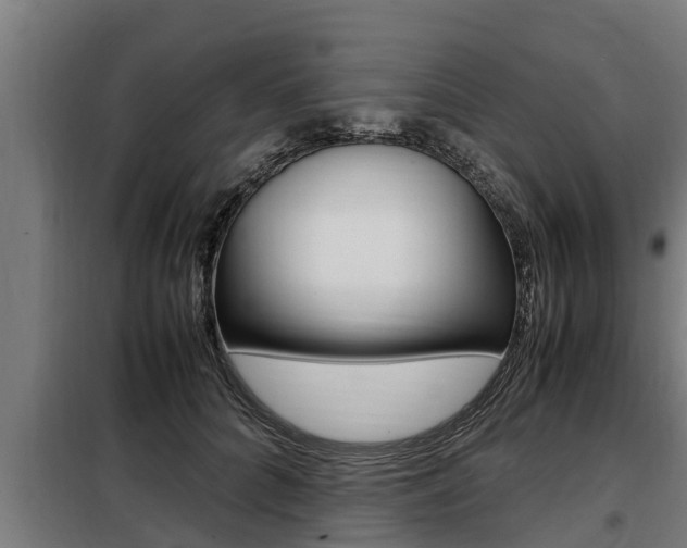 X0000098070704200804040728