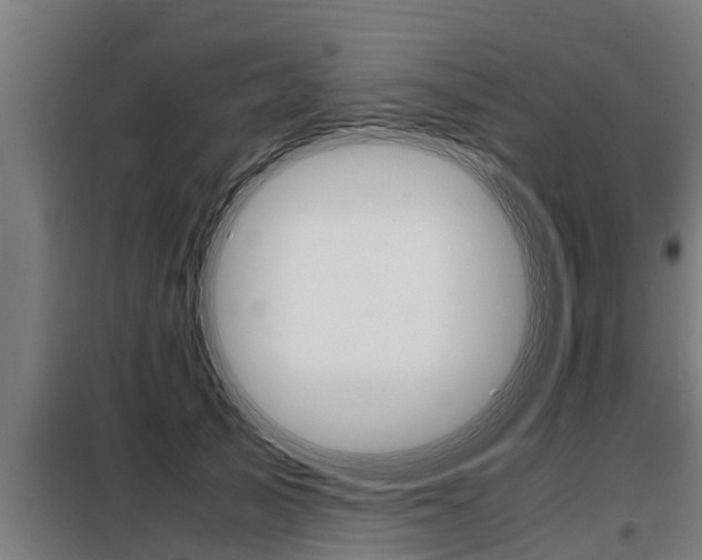 X0000098070705200804040728