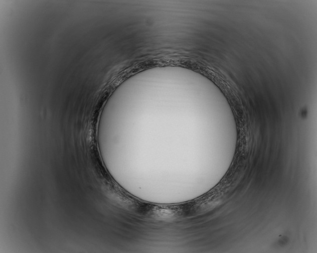 X0000098070706200804040728