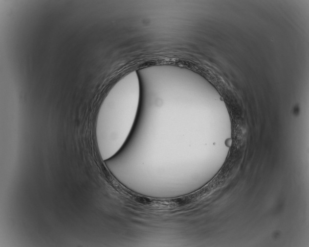 X0000098070707200804040728