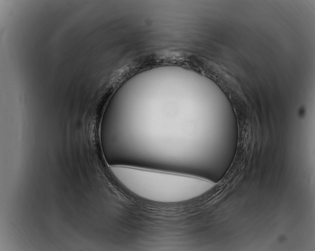 X0000098070708200804040728