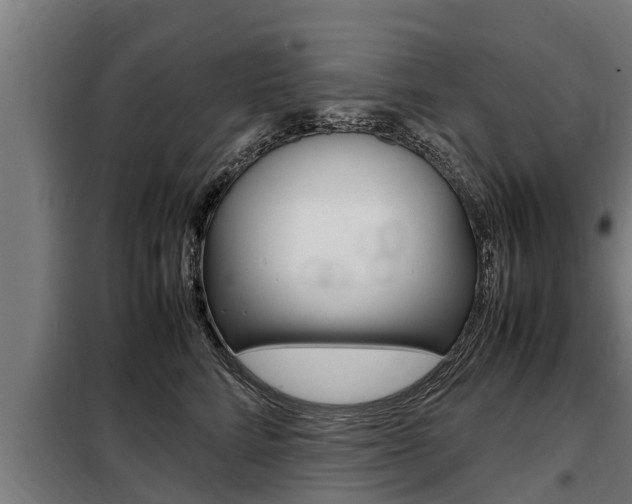 X0000098070712200804040728