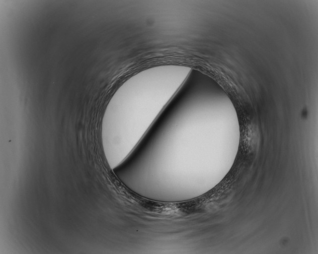 X0000098070715200804040728