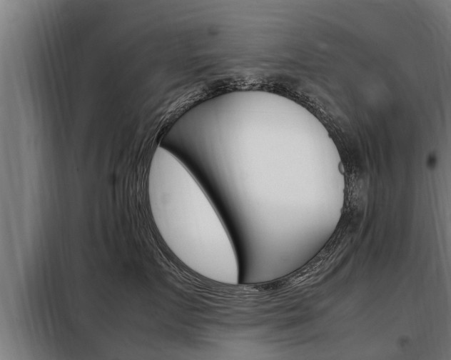 X0000098070719200804040728