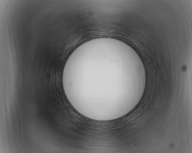 X0000098070720200804040727