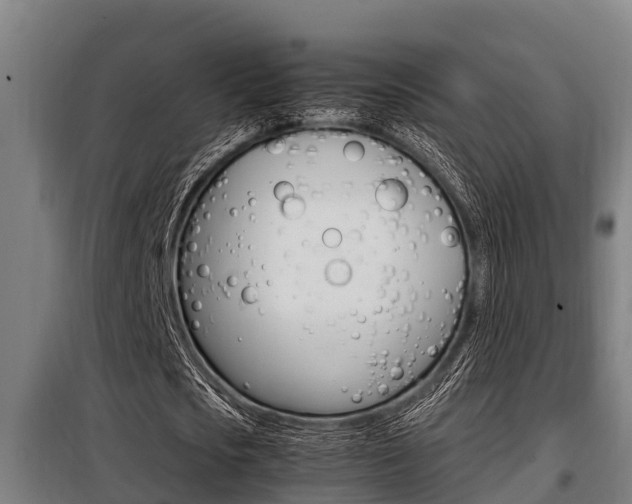 X0000098070721200804040727