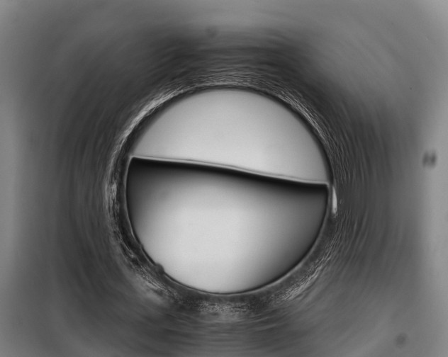 X0000098070723200804040727