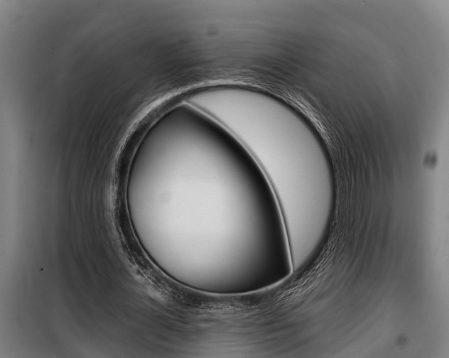 X0000098070724200804040727