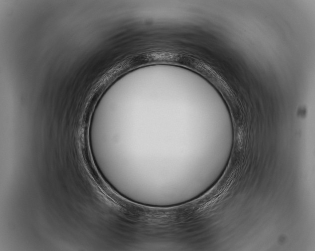 X0000098070725200804040727