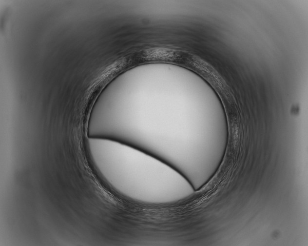 X0000098070729200804040727