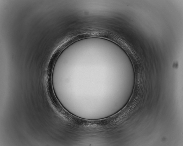 X0000098070730200804040727