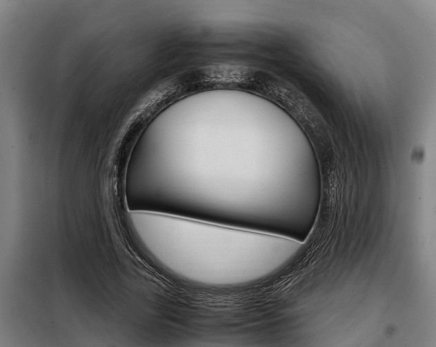 X0000098070731200804040727