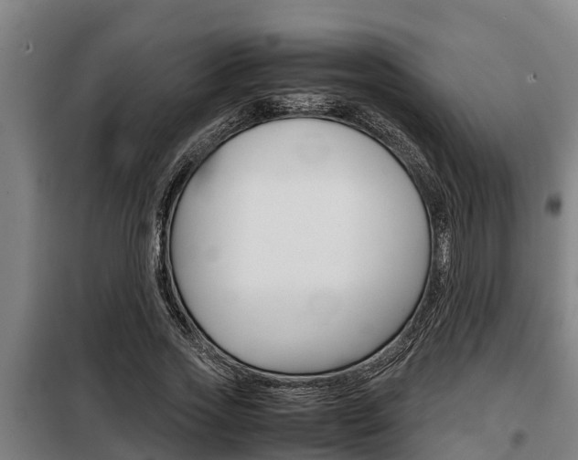 X0000098070733200804040727