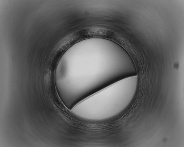X0000098070735200804040727
