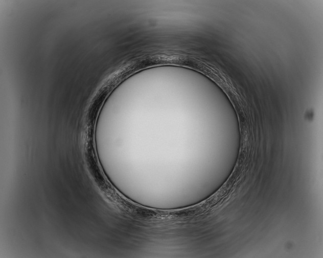 X0000098070736200804040727