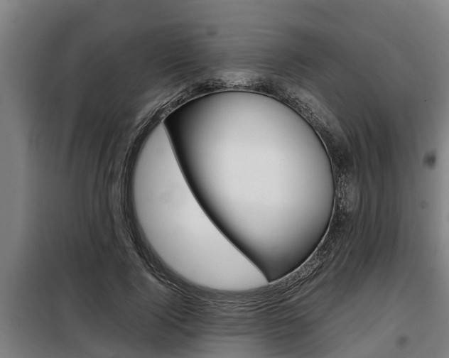 X0000098070740200804040727