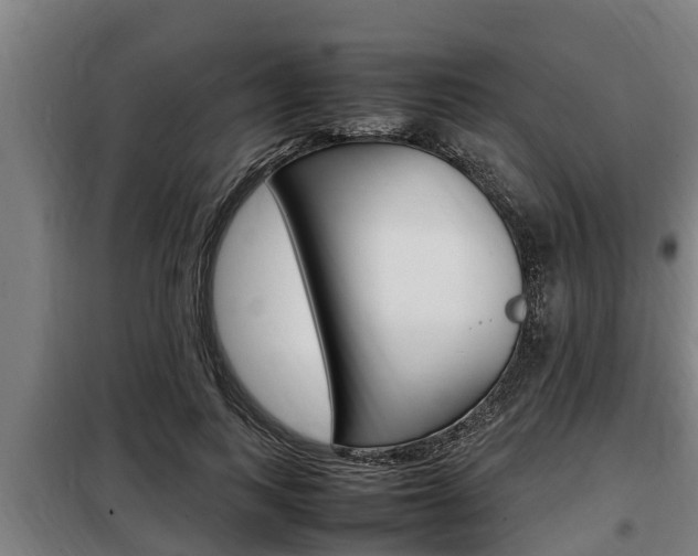 X0000098070743200804040727