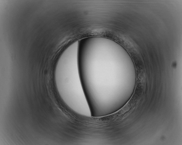 X0000098070744200804040727