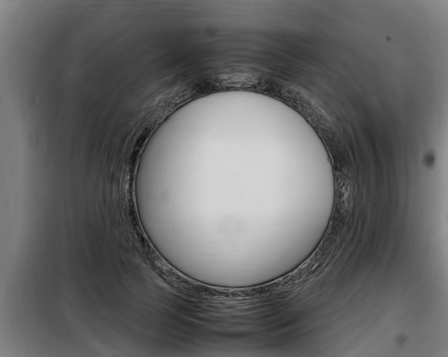 X0000098070745200804040727